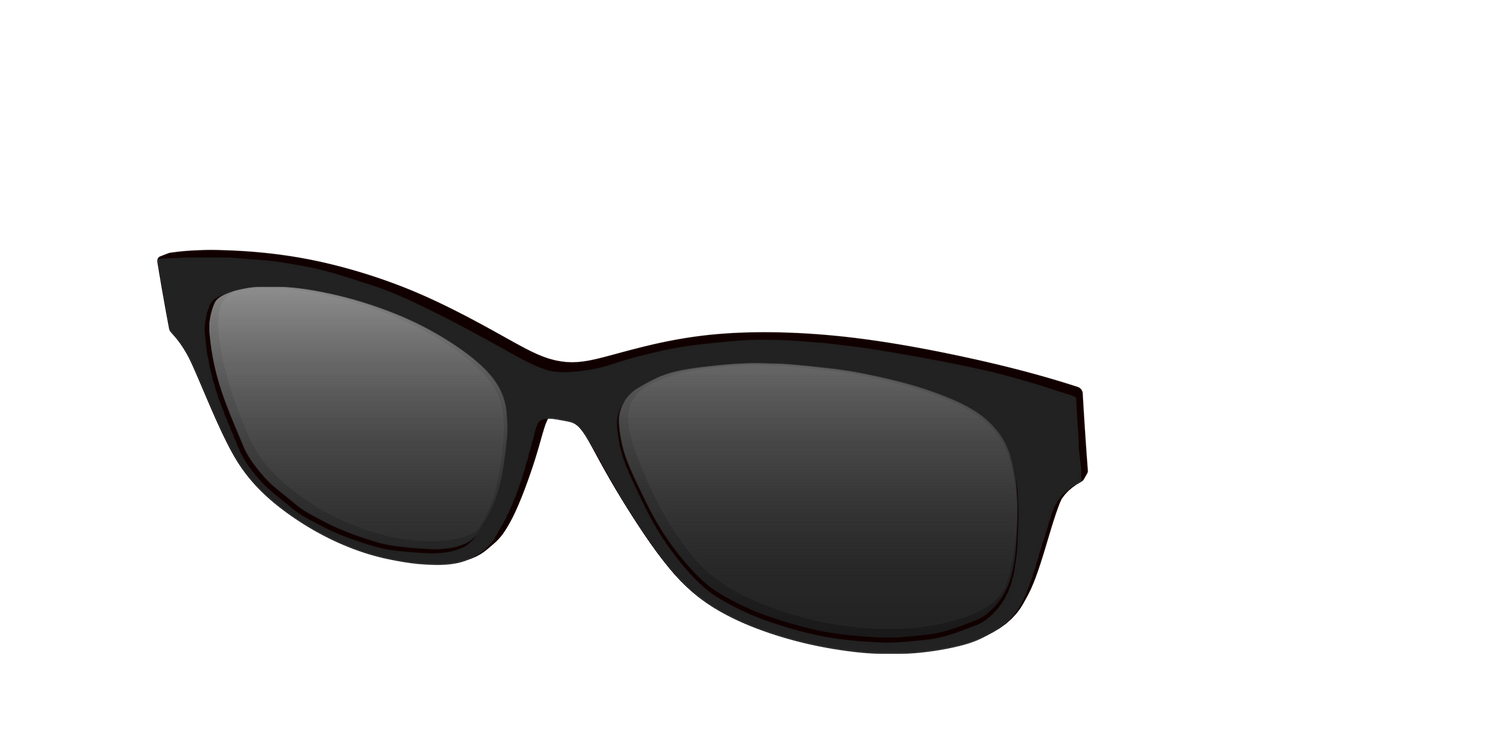 The Polarized Black Sun Top - Angle Top Image - Pair Eyewear