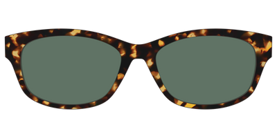 The Non-Polarized Green Tortoise Sun Top - Front Top Thumbnail - Pair Eyewear