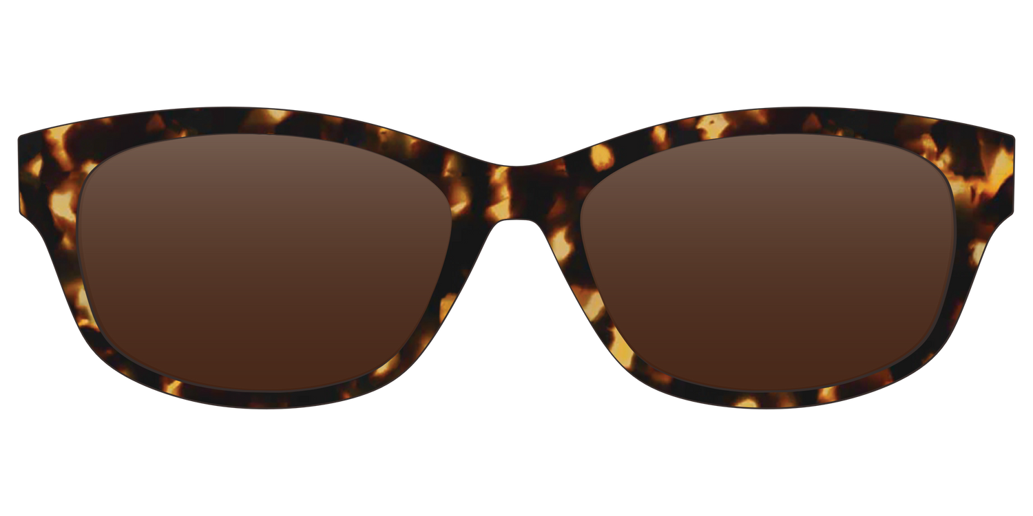 The Polarized Tortoise Sun Top - Front Top Image - Pair Eyewear