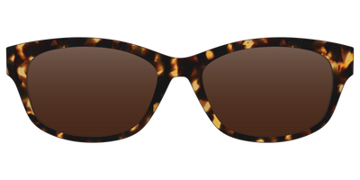 The Polarized Tortoise Sun Top - Front Top Thumbnail - Pair Eyewear