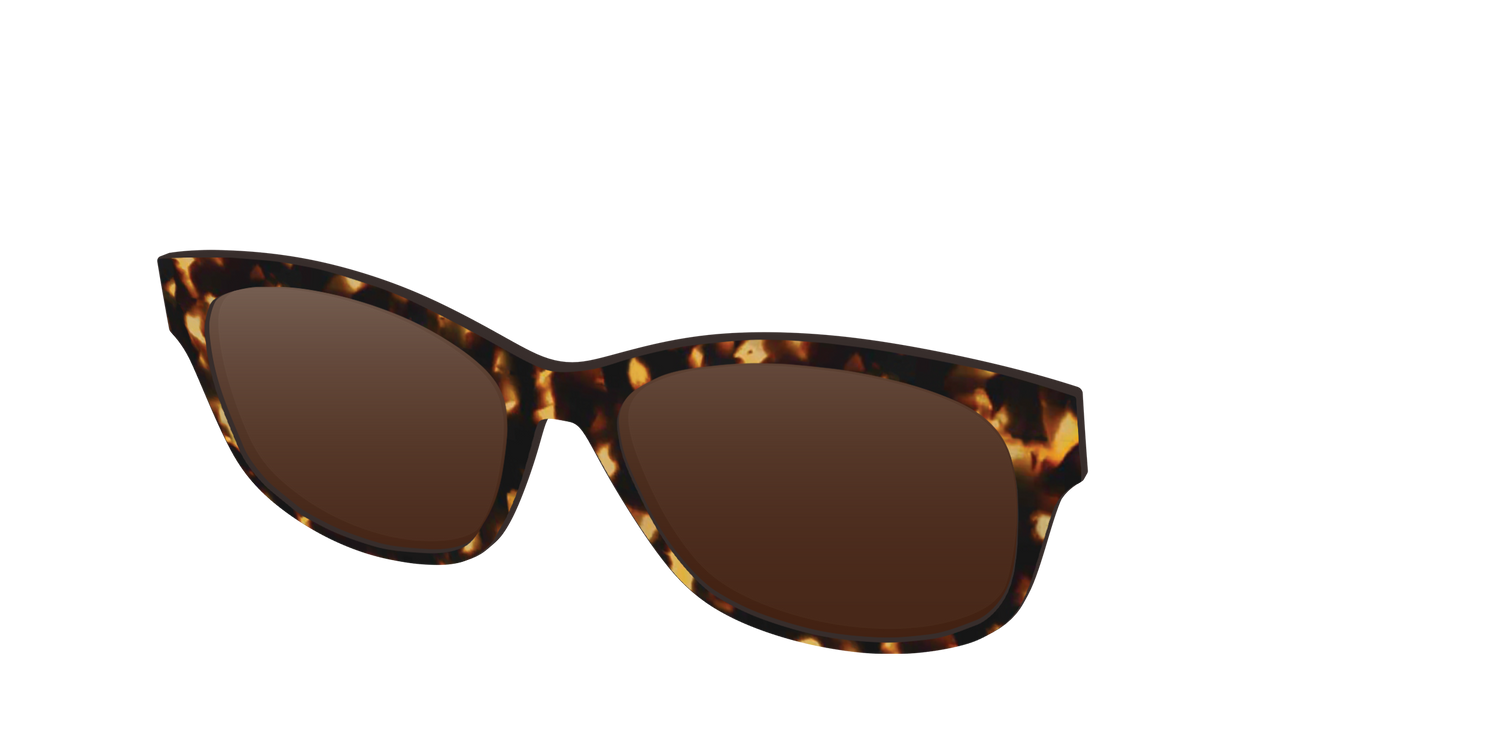 The Polarized Tortoise Sun Top - Angle Top Image - Pair Eyewear