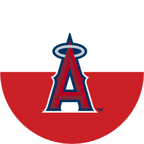 The Astros Home Run