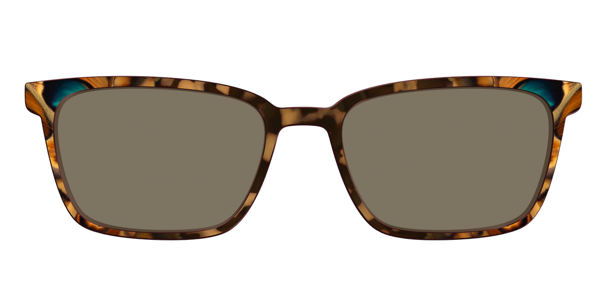The Polarized Moth Wings Sun Top - Front Top Image - Pair Eyewear