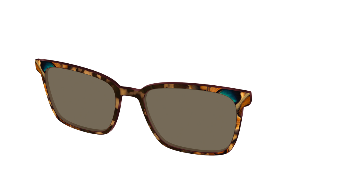 The Polarized Moth Wings Sun Top - Angle Top Image - Pair Eyewear