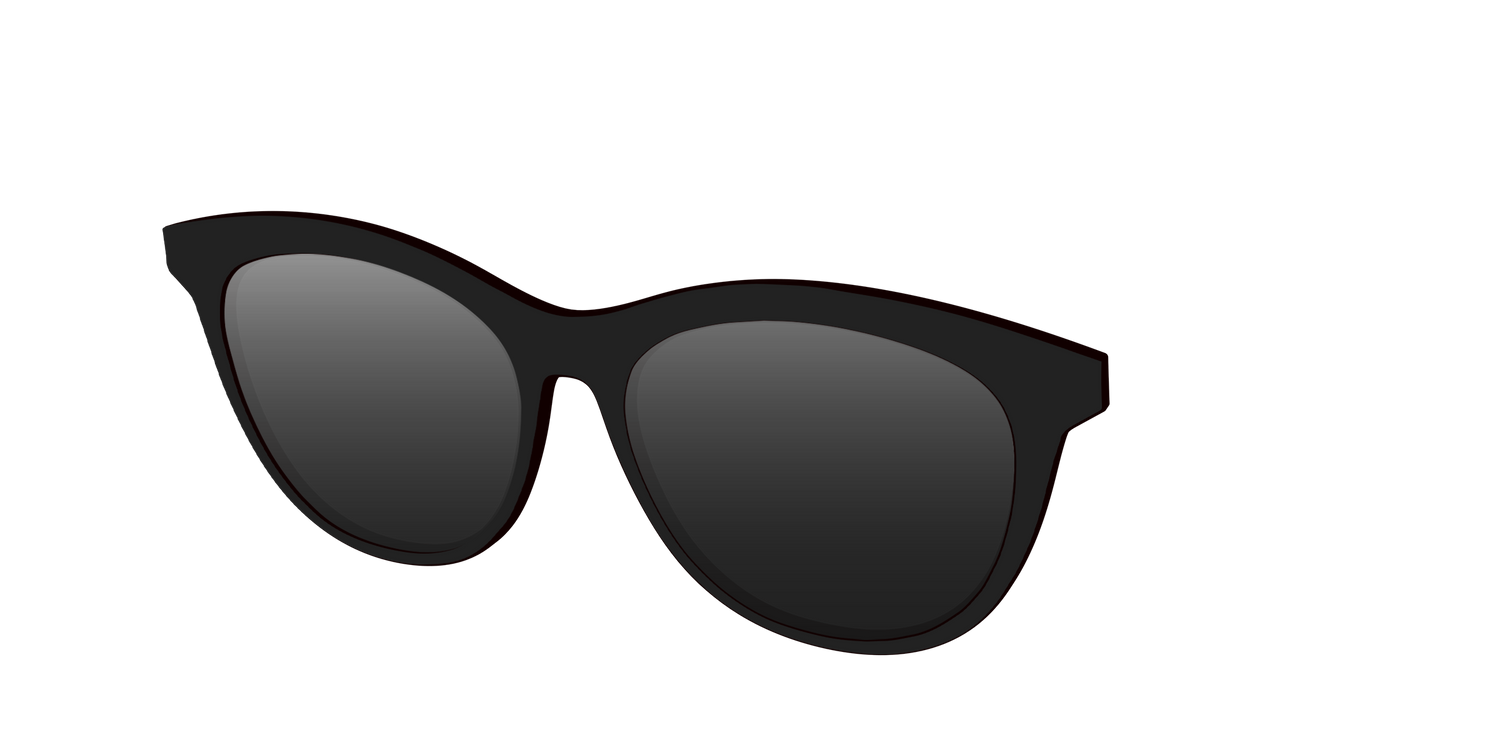 The Polarized Black Sun Top - Angle Top Image - Pair Eyewear