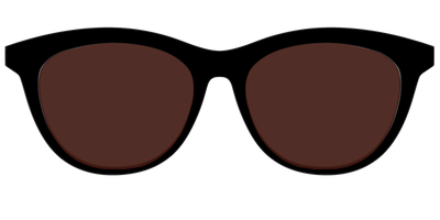 The Black with Brown Golf Lens - Front Top Thumbnail - Pair Eyewear