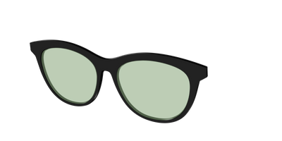 The Black With Sage Green Lens - Angle Top Thumbnail - Pair Eyewear