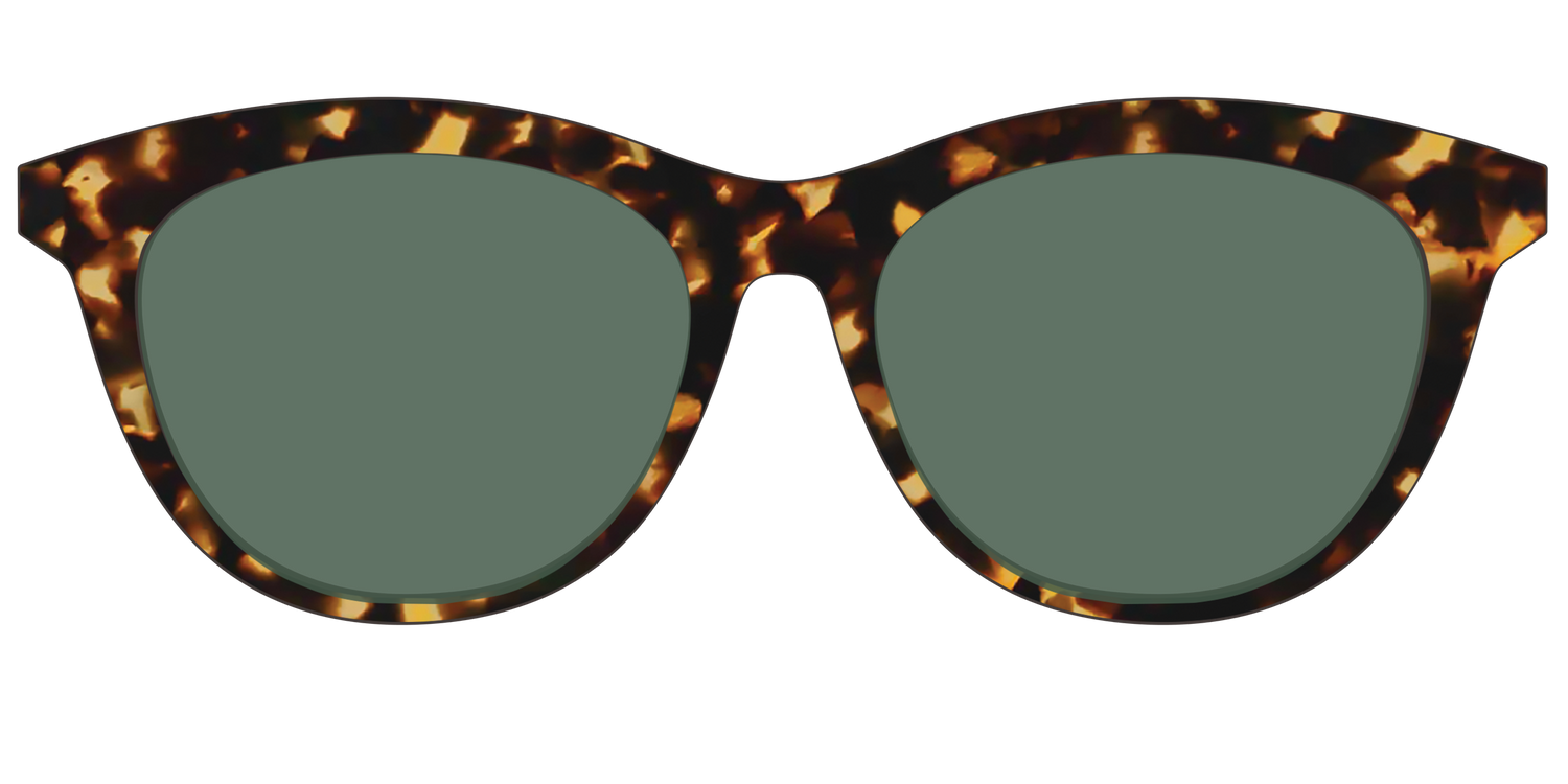 The Non-Polarized Green Tortoise Sun Top - Front Top Image - Pair Eyewear