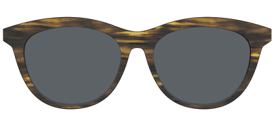 The Polarized Horn Sun Top - Front Top Thumbnail - Pair Eyewear