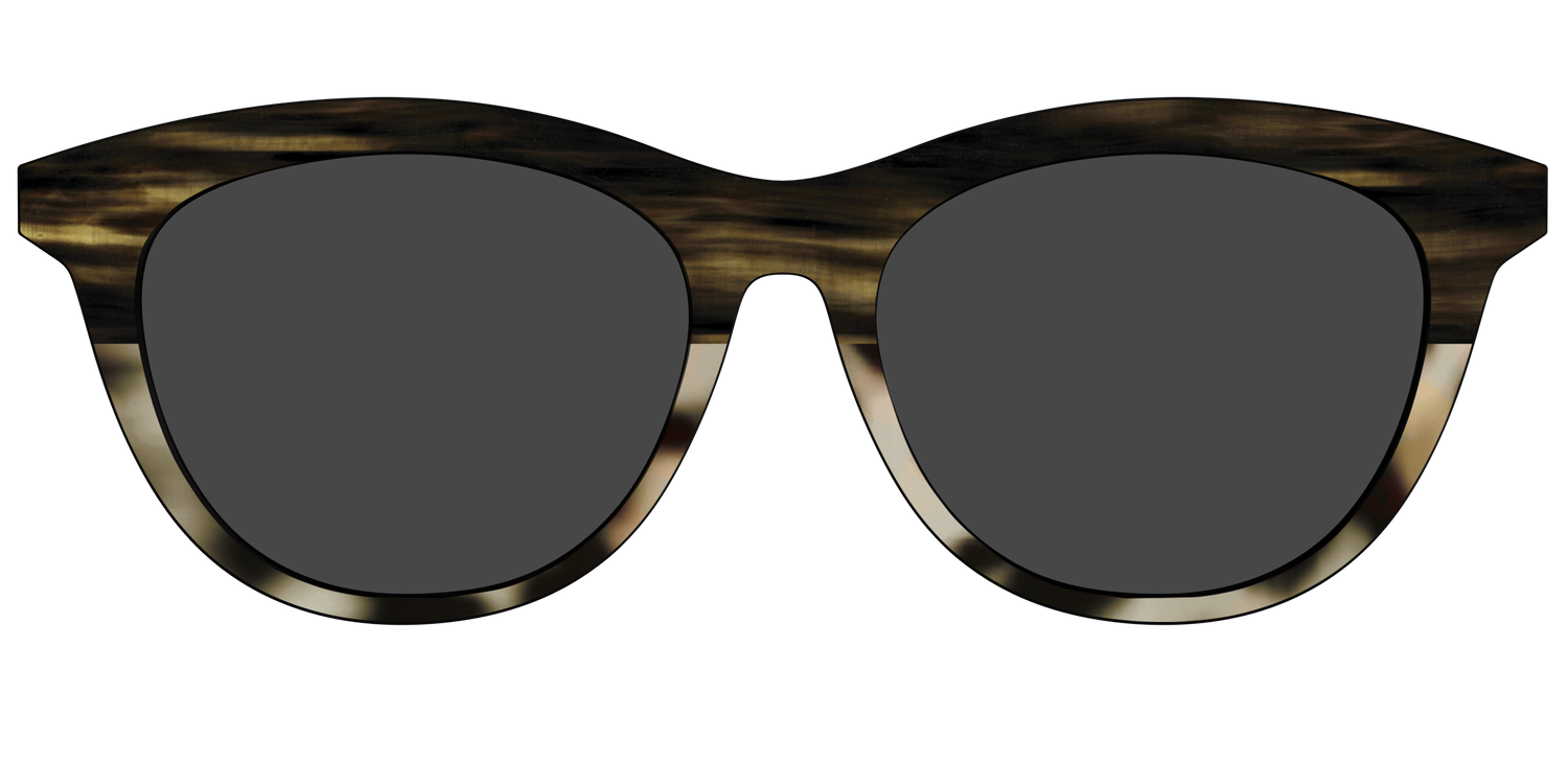The Polarized Horn Tortoise Sun Top - Front Top Image - Pair Eyewear