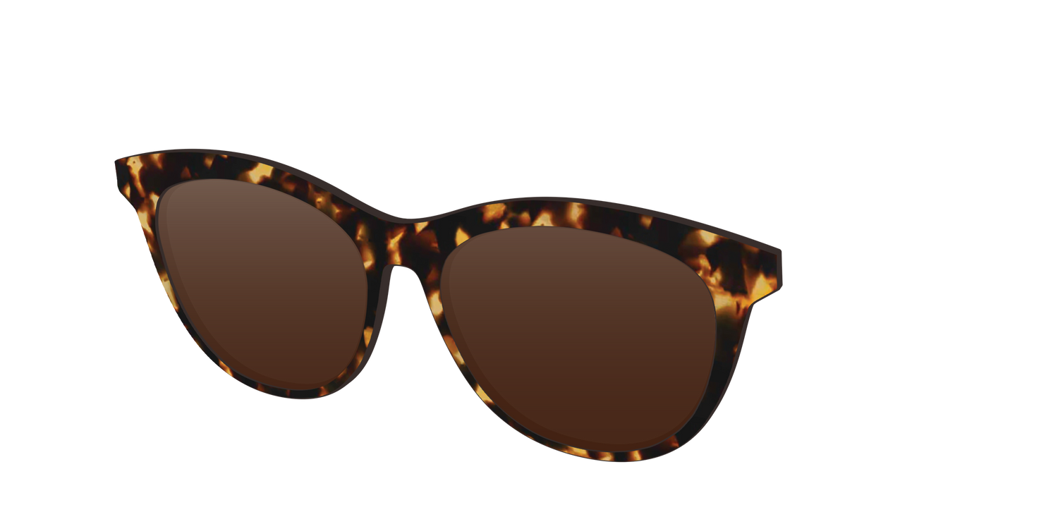 The Polarized Tortoise Sun Top - Angle Top Image - Pair Eyewear