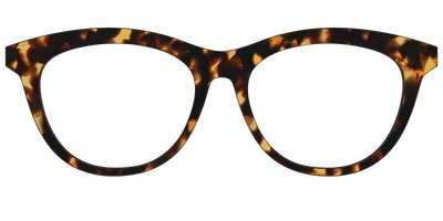 The Tortoise - Front Top Thumbnail - Pair Eyewear