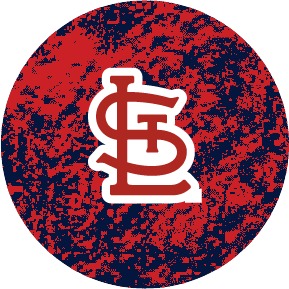 The Astros Home Run