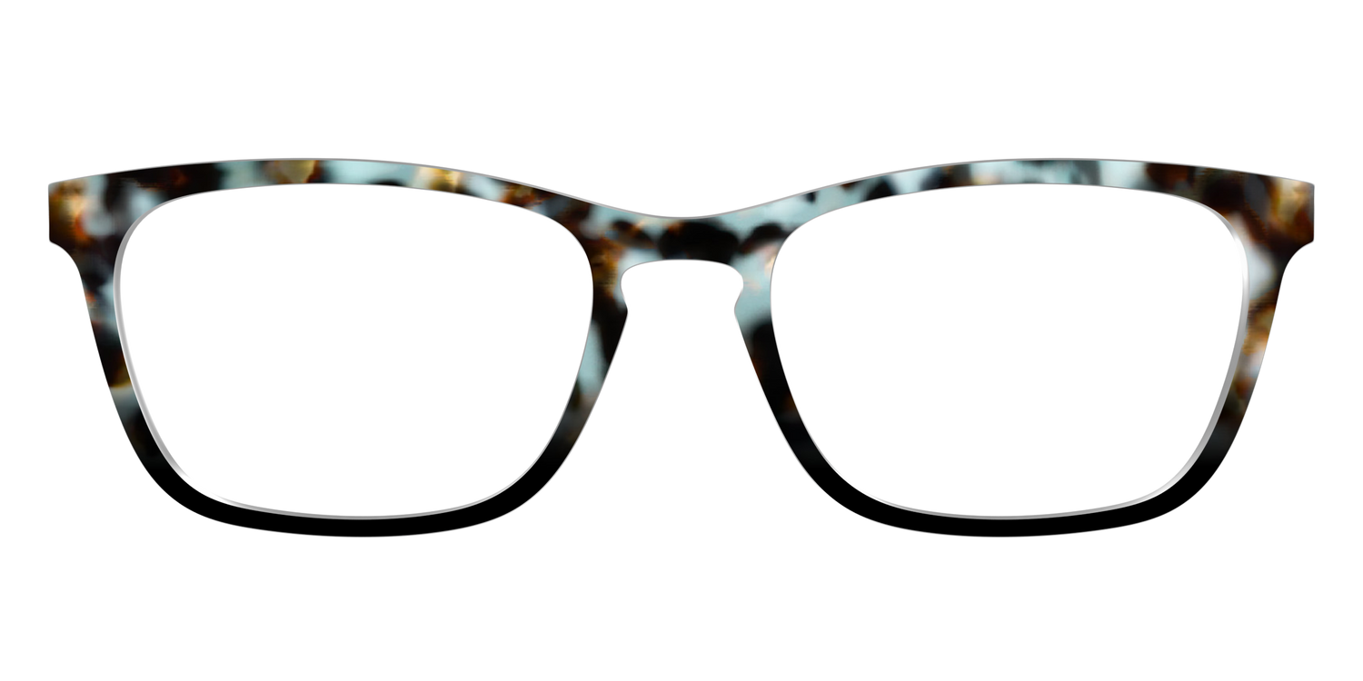 The Academic Tortoise - Front Top Image - Pair Eyewear