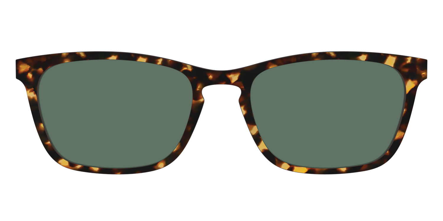 The Non-Polarized Green Tortoise Sun Top - Front Top Image - Pair Eyewear