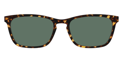 The Non-Polarized Green Tortoise Sun Top - Front Top Thumbnail - Pair Eyewear