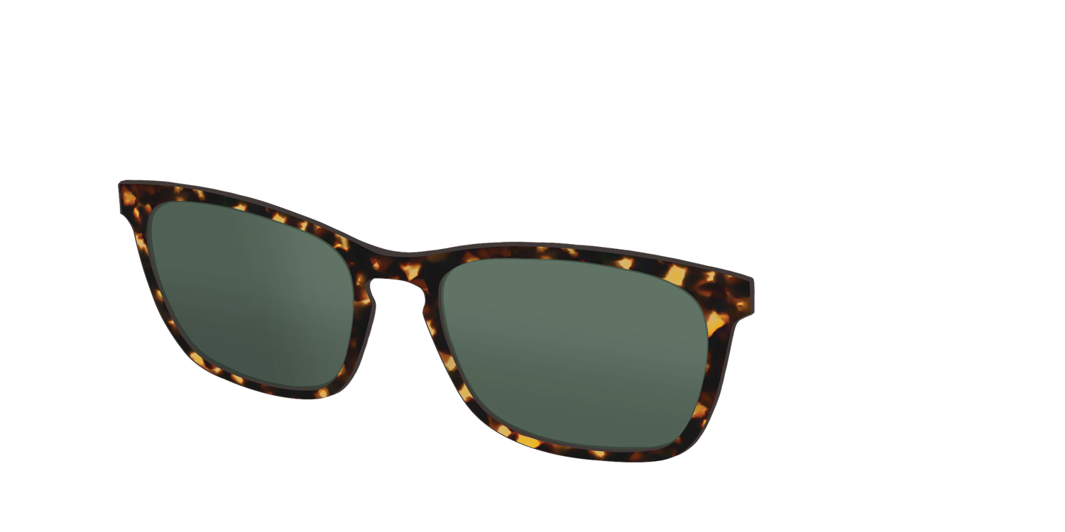 The Non-Polarized Green Tortoise Sun Top - Angle Top Image - Pair Eyewear