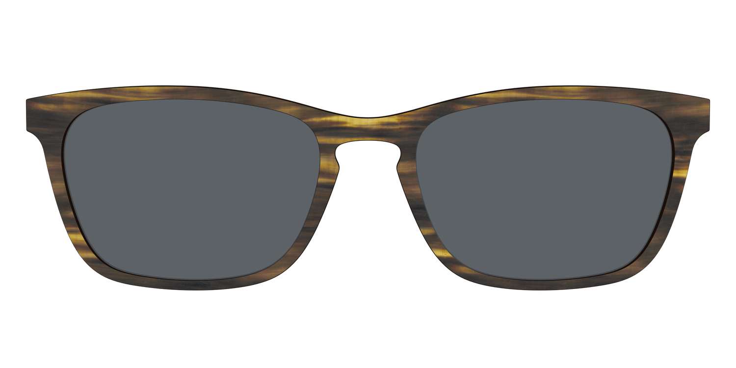 The Polarized Horn Sun Top - Front Top Image - Pair Eyewear