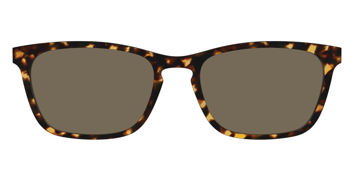 The Non-Polarized Tortoise Sun Top - Front Top Image - Pair Eyewear