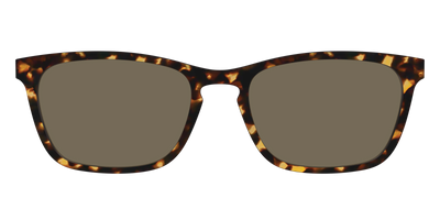 The Non-Polarized Tortoise Sun Top - Front Top Thumbnail - Pair Eyewear