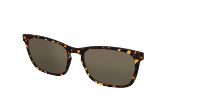 The Non-Polarized Tortoise Sun Top - Angle Top Thumbnail - Pair Eyewear