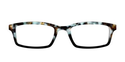 The Academic Tortoise - Front Top Thumbnail - Pair Eyewear