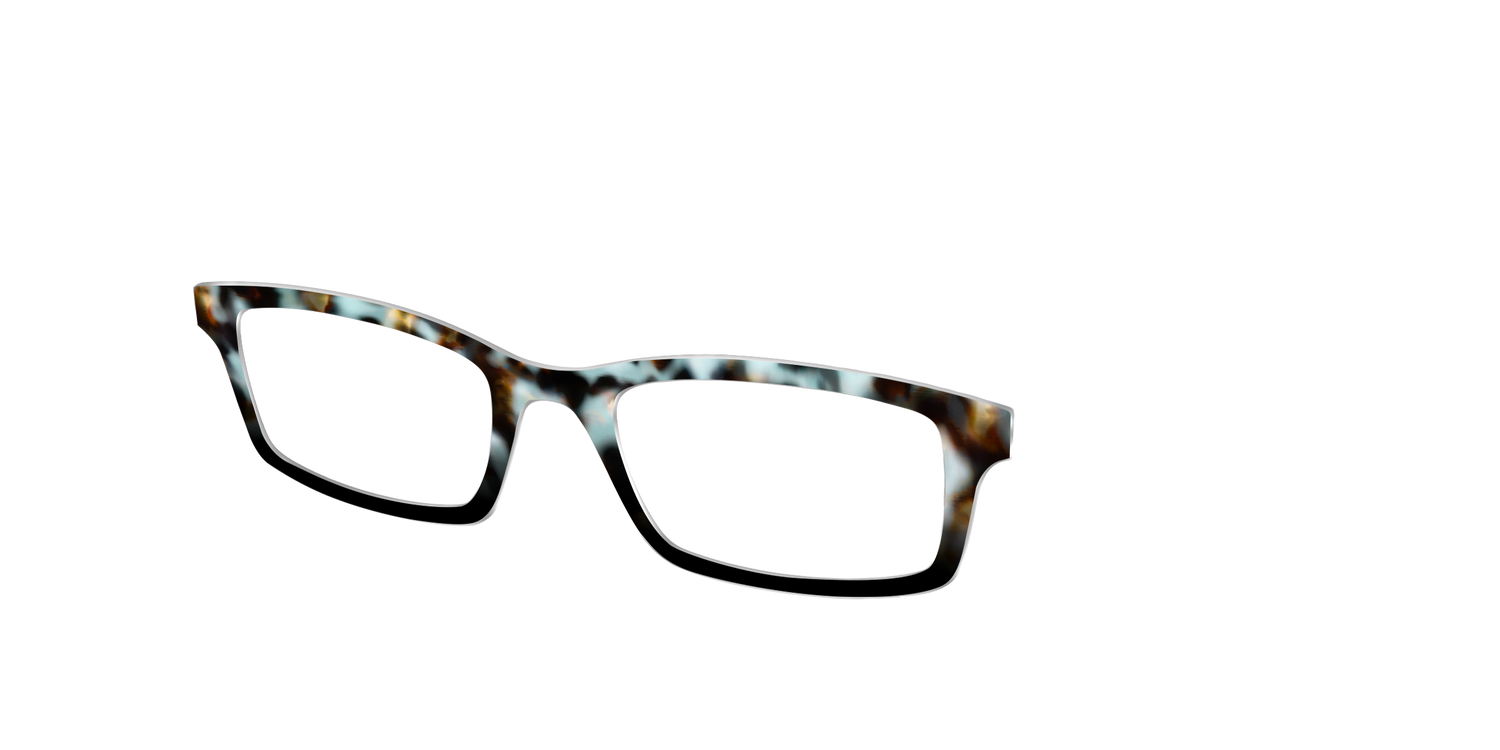 The Academic Tortoise - Angle Top Image - Pair Eyewear