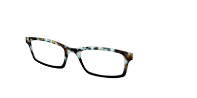 The Academic Tortoise - Angle Top Thumbnail - Pair Eyewear