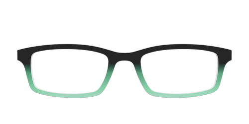 The Black to Spearmint Gradient - Pair Eyewear