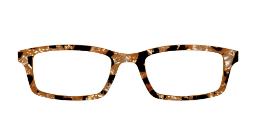 The Caramel Pearl Tortoise - Pair Eyewear