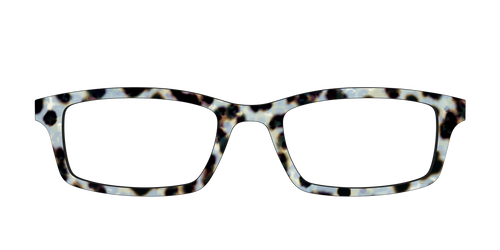 The Earl Grey Tortoise - Pair Eyewear