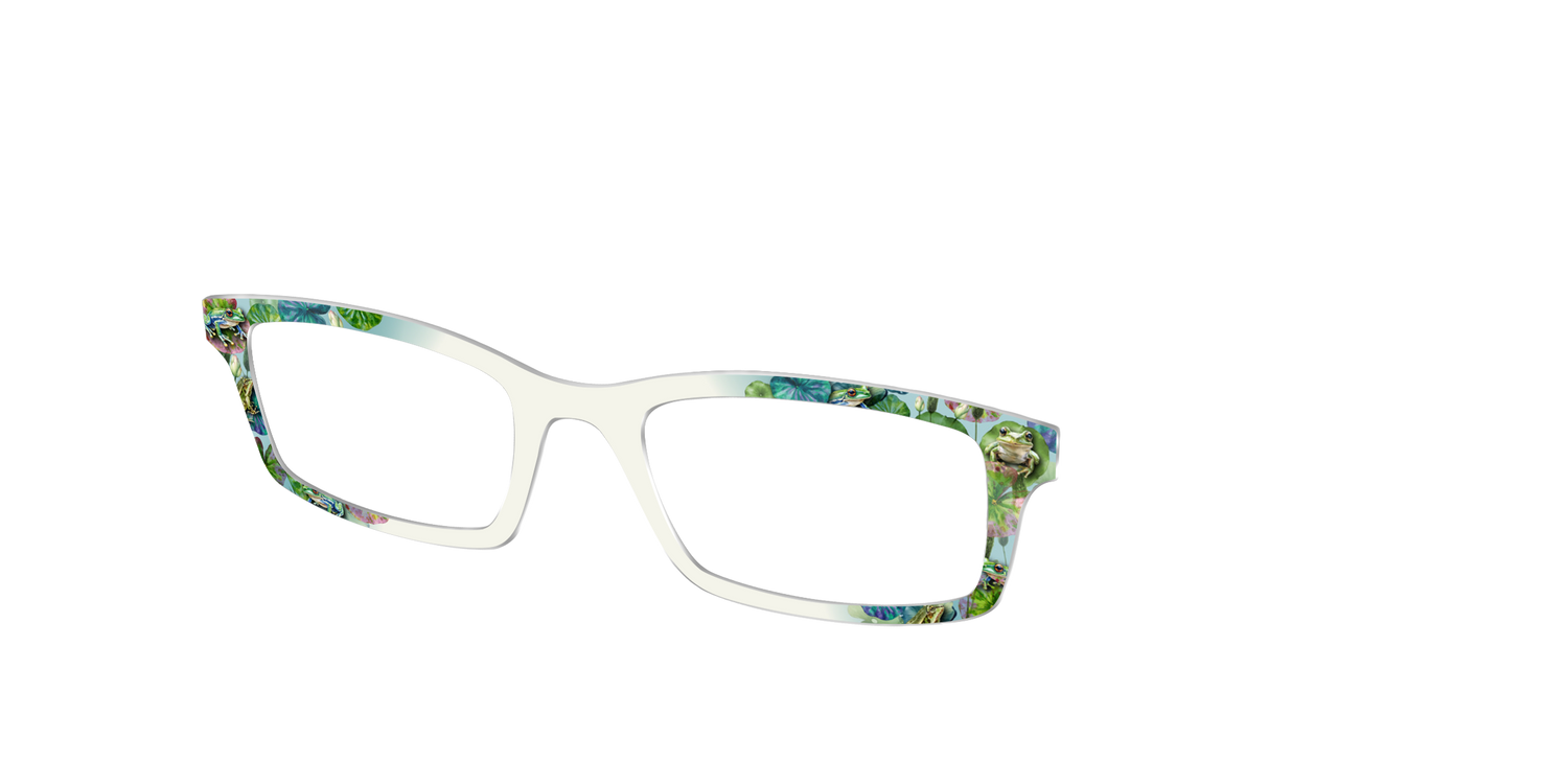 The Froggy Friends - Angle Top Image - Pair Eyewear