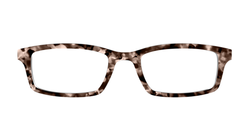 The Java Tortoise - Pair Eyewear