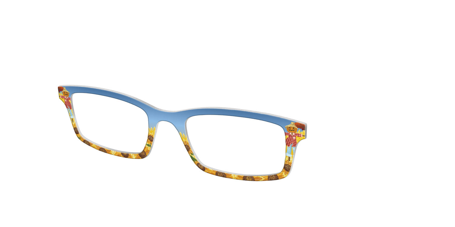 The Joyful Scarecrow - Angle Top Image - Pair Eyewear