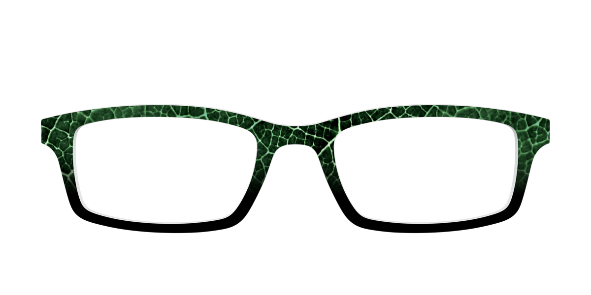The Leafy Linework - Front Top Image - Pair Eyewear