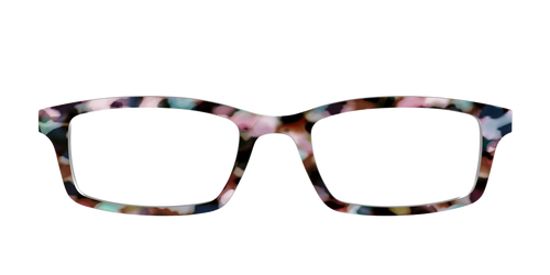 The Midsummer Tortoise - Pair Eyewear