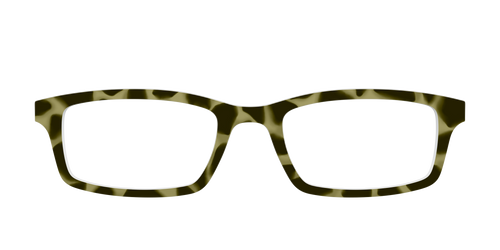 The Olive Tortoise - Pair Eyewear