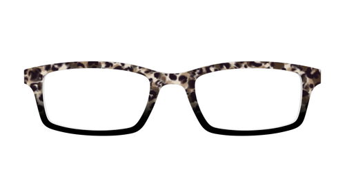 The Party Animal Tortoise - Pair Eyewear