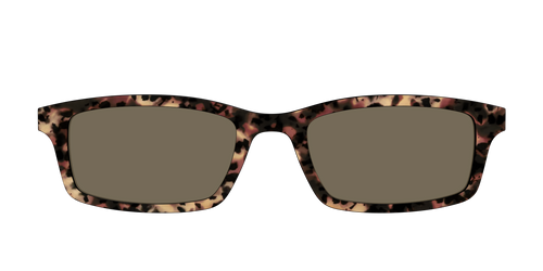 The Polarized Sienna Tortoise Sun Top - Pair Eyewear