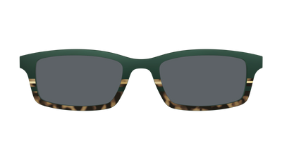The Polarized Spruce Tortoise Sun Top - Front Top Thumbnail - Pair Eyewear