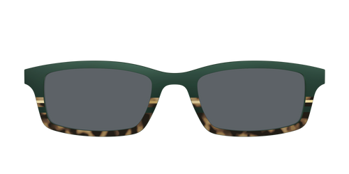 The Polarized Spruce Tortoise Sun Top - Pair Eyewear