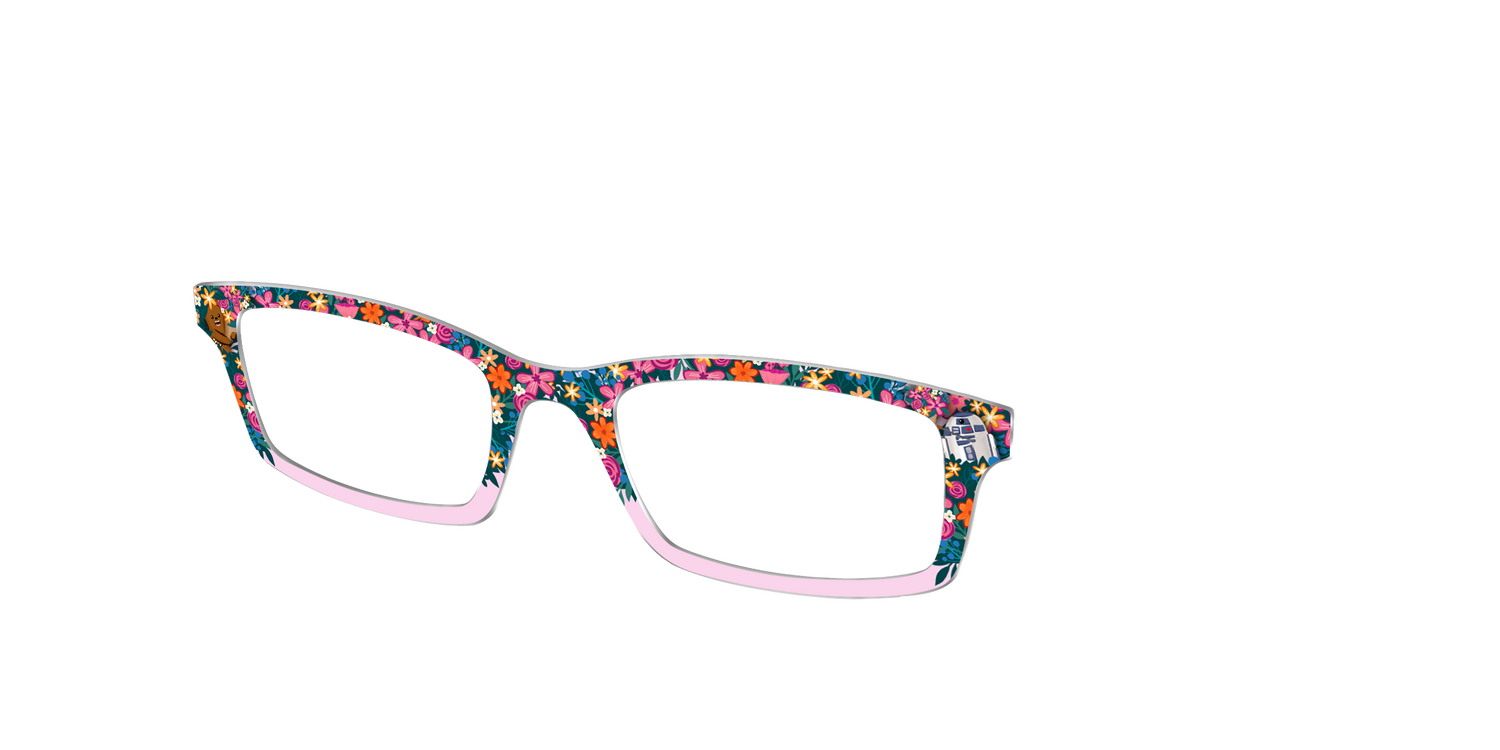 R2 and Chewie's Flower Shop - Angle Top Image - Pair Eyewear