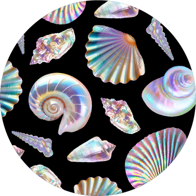 The Chrome Seashells