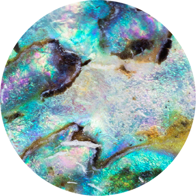 The Indigo Shimmer