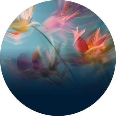 The Porcelain Blossoms
