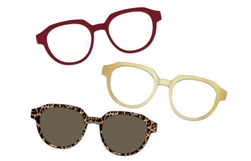 Amber Tortoise with Gold Set - Pair Eyewear