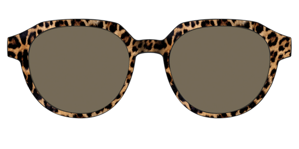 The Daley - Forte - Lensless