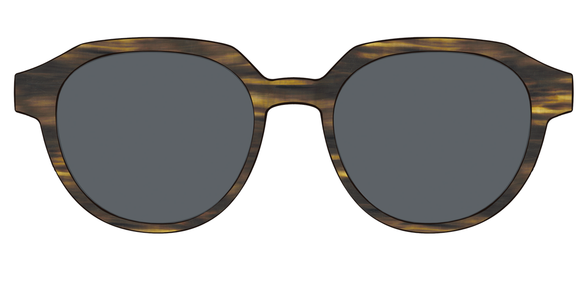 The Polarized Horn Sun Top - Front Top Image - Pair Eyewear