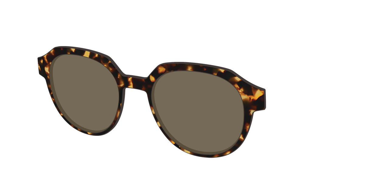The Polarized Tortoise Sun Top - Angle Top Image - Pair Eyewear