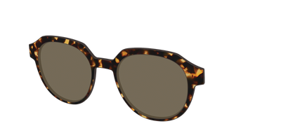 The Polarized Tortoise Sun Top - Angle Top Thumbnail - Pair Eyewear